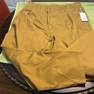 Size 18 mustard pants.